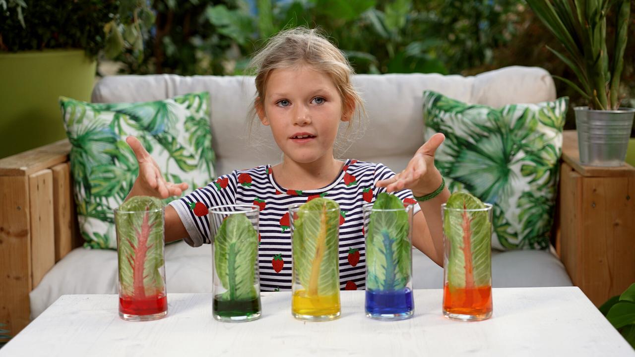 © ORF/Steiner Familyentertainment Die Gartenpiraten