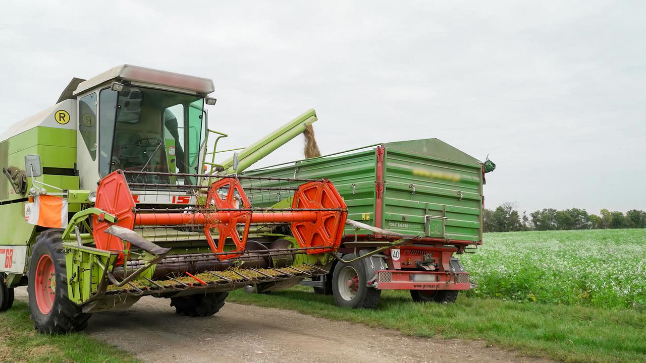 Bauer Gregor erklärt heute, wie man Reis anbaut, erntet und verarbeitet.