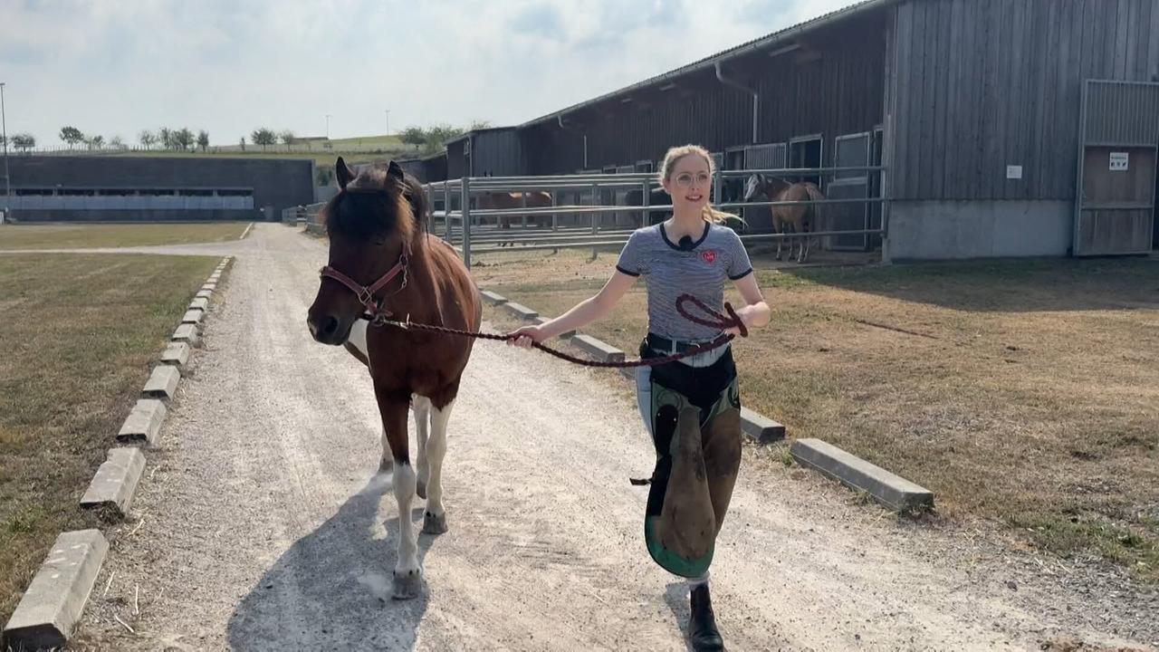 © ORF Hallo, was machst Du?