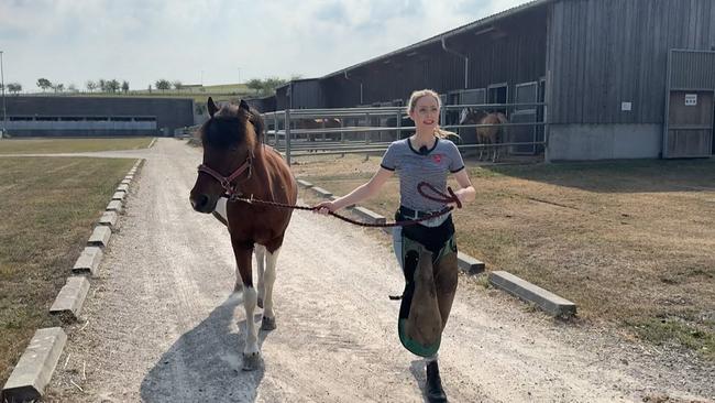 © ORF Hallo, was machst Du?