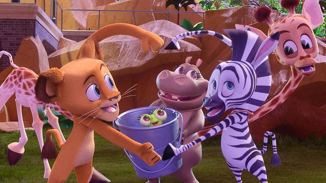 Madagascar - Die kleine Wildnis