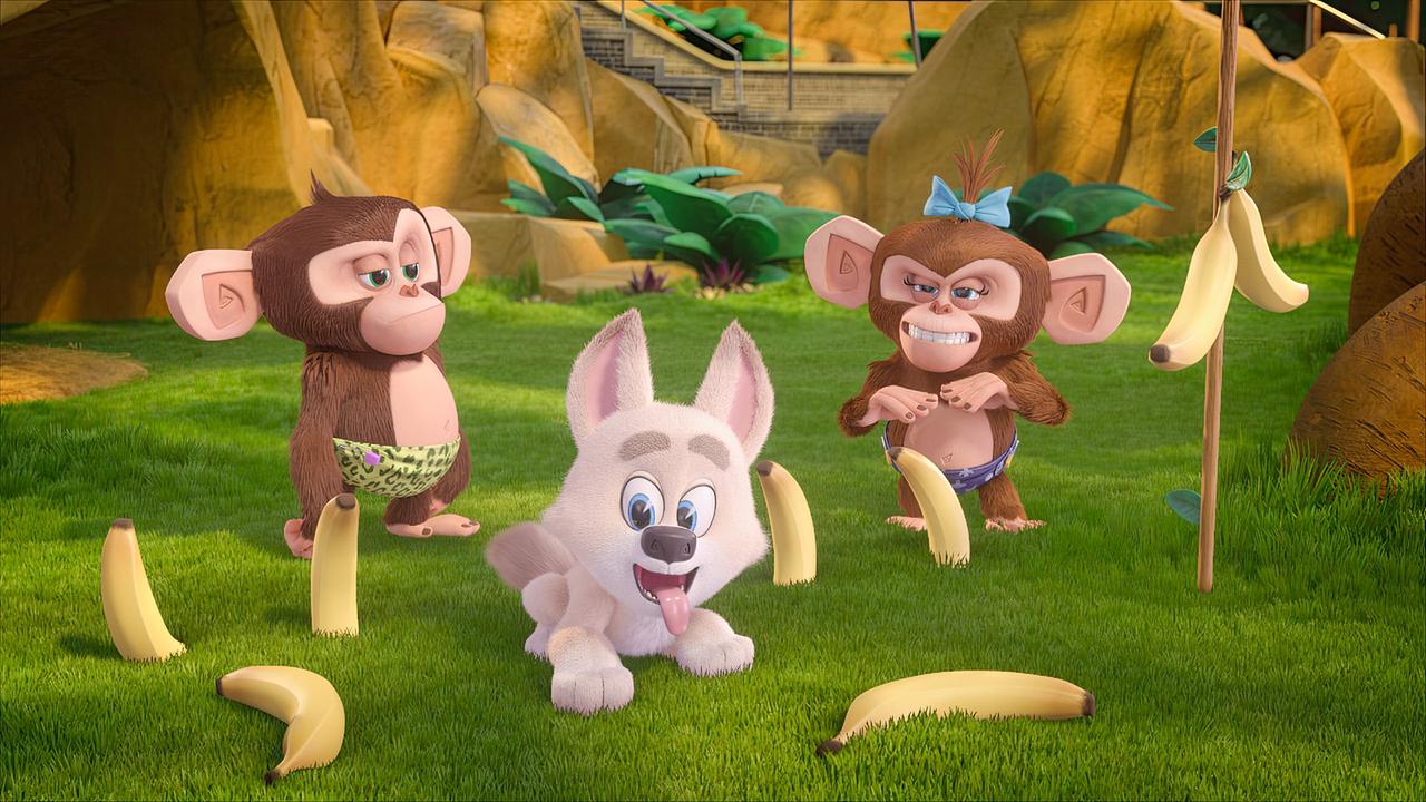 Madagascar - Die kleine Wildnis