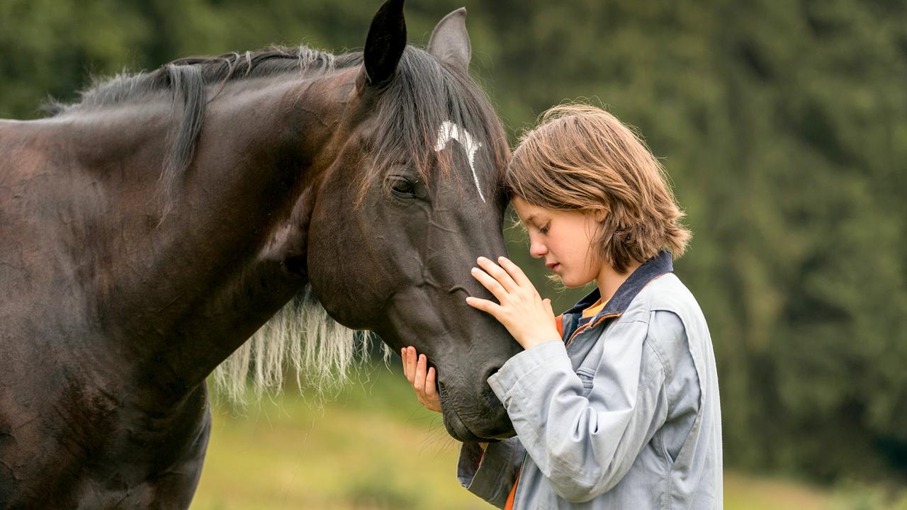 © ORF/Constantin Film/SamFilm/Marc Reimann Ostwind - Aris Ankunft