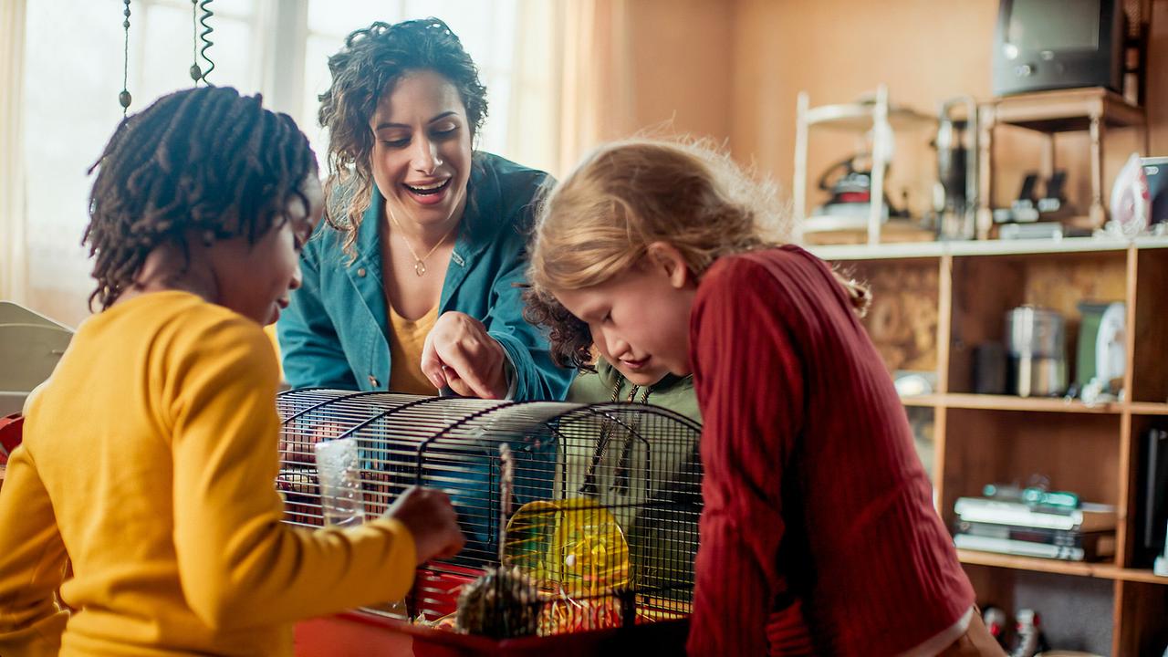 Janaiah Elouisa Henriette (Dina), Jouman Fattal (Zonia), Evy Hanse (Anna).
