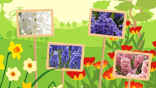 StoryZoo Abenteuer