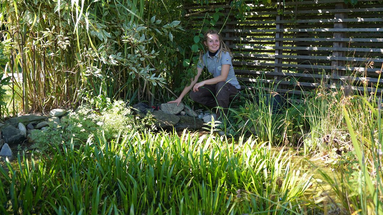 Tipps und Tricks für die richtige Teichpflege im Herbst haben die Gärtnerinnen und Gärtner auf der Garten Tulln.