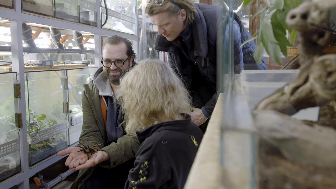 "Seidl und Fleischhacker im Außendienst": Gerald Fleischhacker und Gery Seidl - Gerald Fleischhacker stellt sich seiner Angst vor Spinnen im Haus des Meeres.