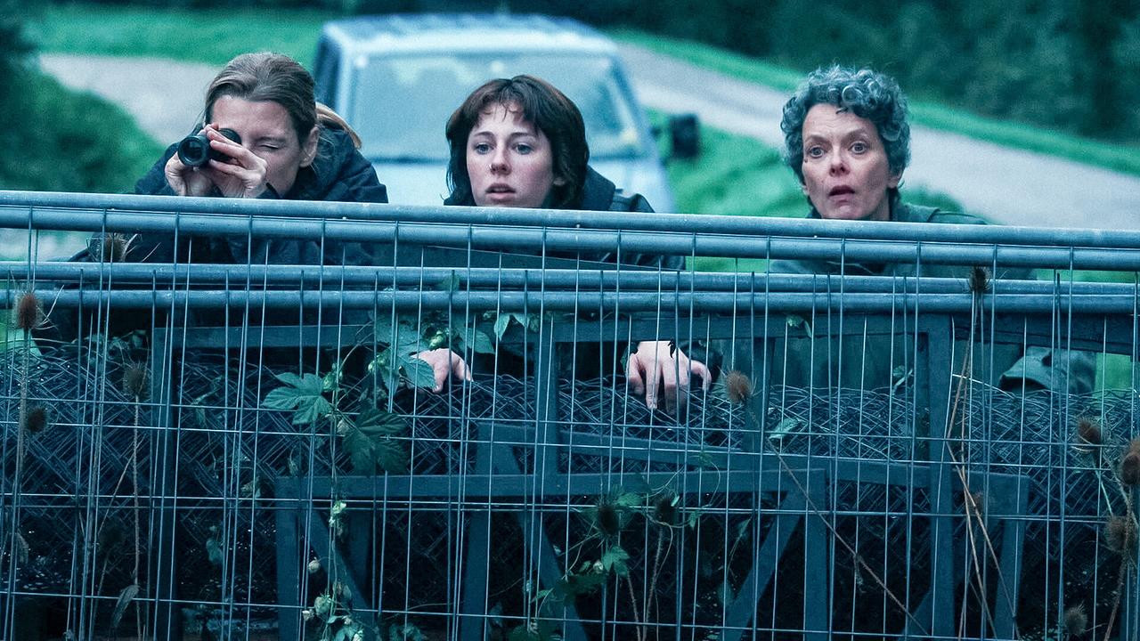 Agnes, Marie und Betti spähen über ein Absperrgitter im Grünen, während im Hintergrund ein Auto parkt.