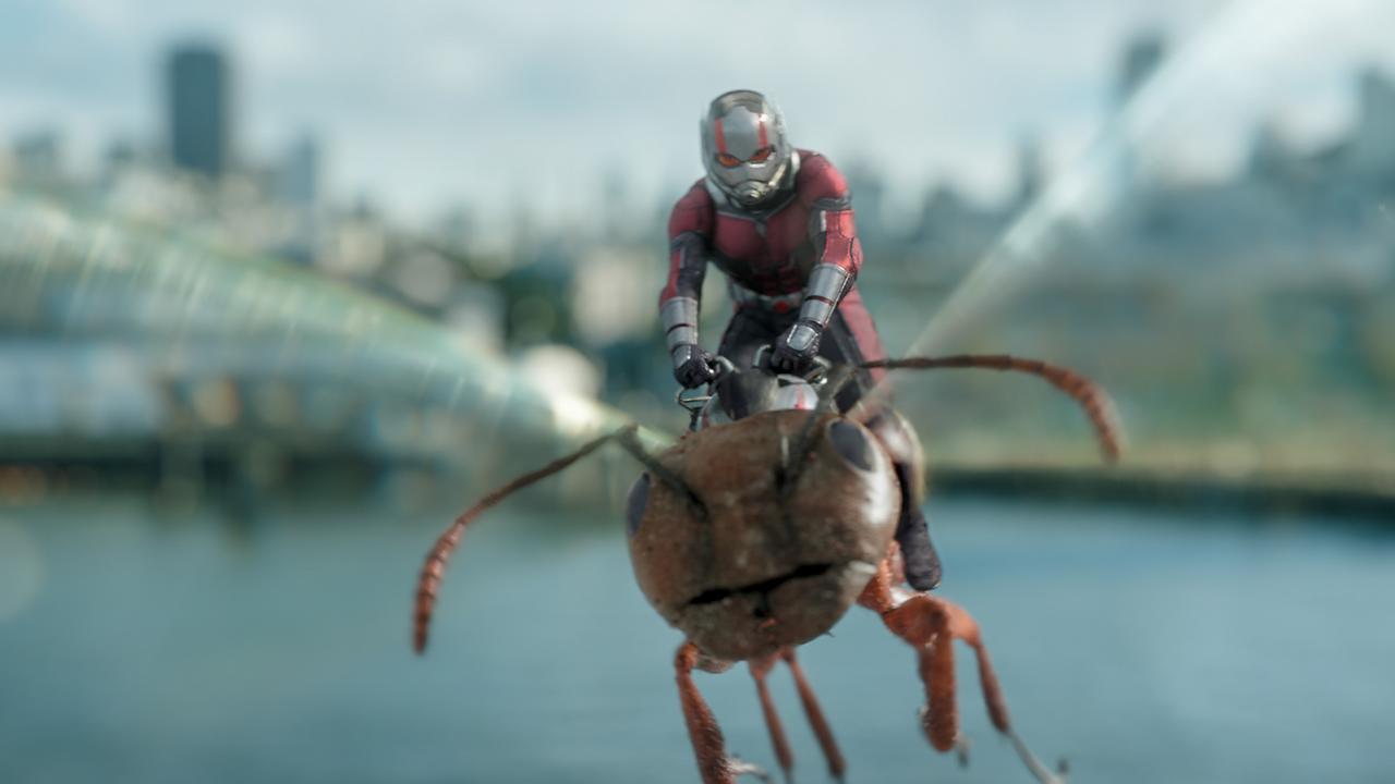 Im Bild: Paul Rudd (Scott Lang / Ant-Man).