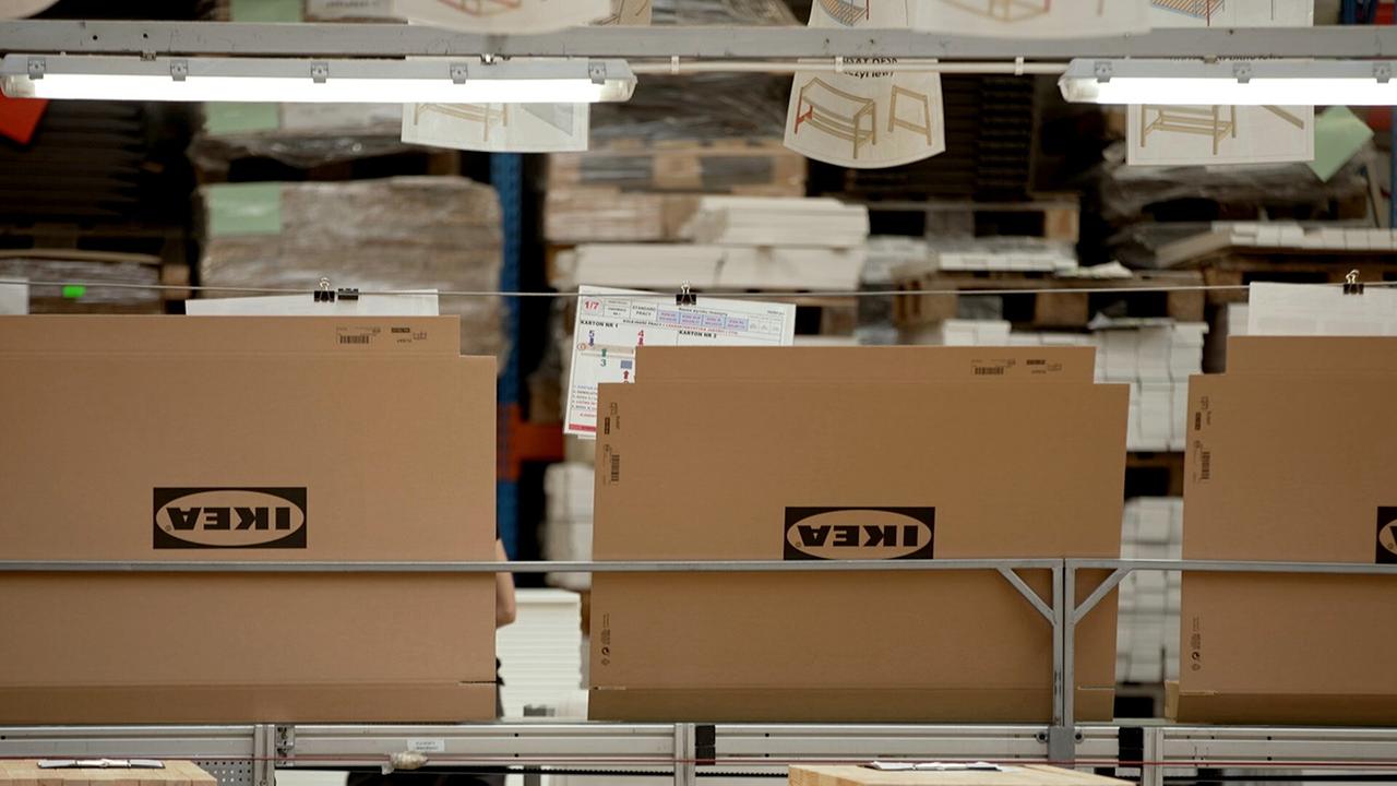 Bäume für Billy - Wie Ikea den Planeten plündert