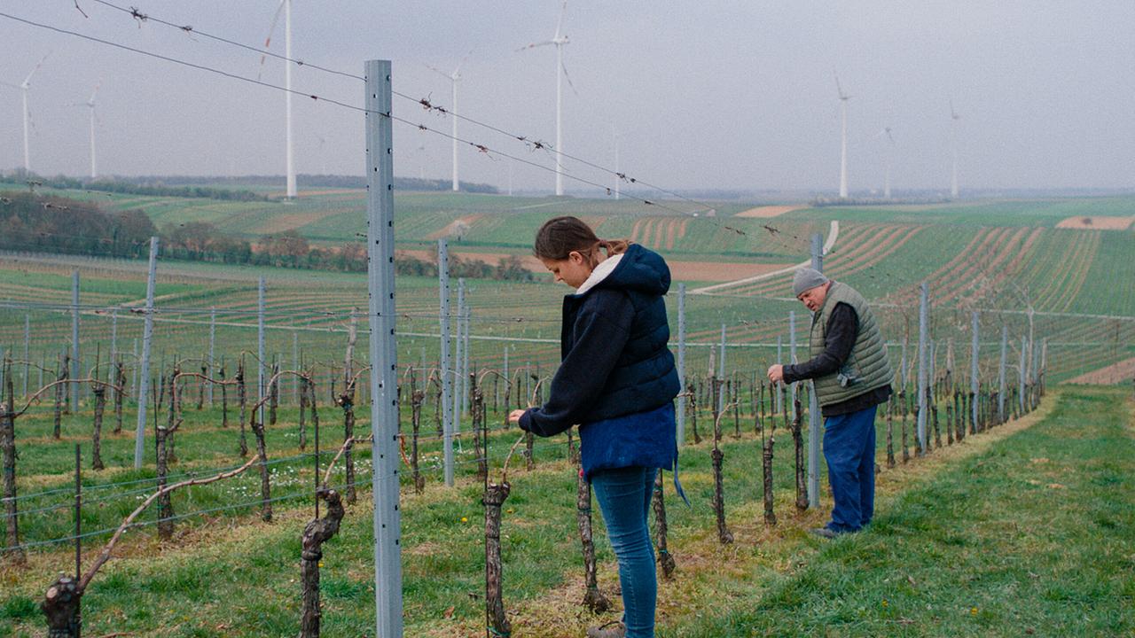 Mira und ihr Opa arbeiten in einem Weinberg zwischen Rebstöcken und Windrädern.