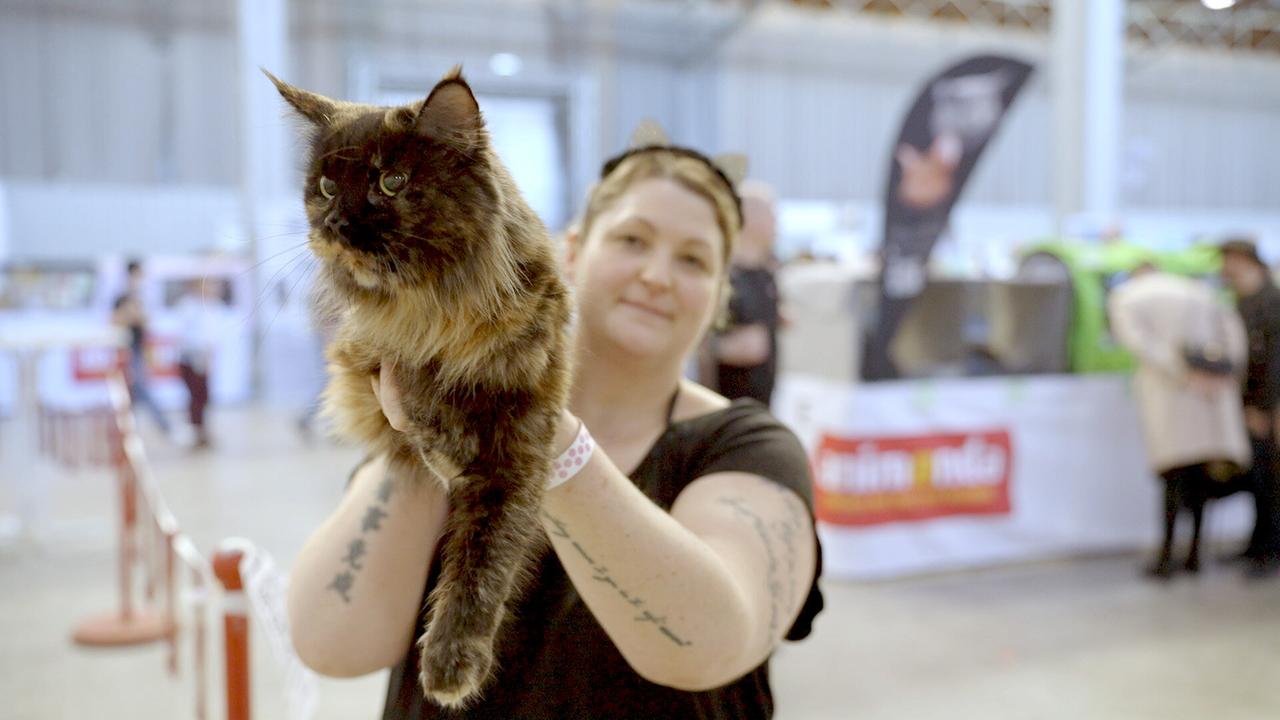 Bei einer Haustiermesse präsentiert eine junge Frau eine langhaarige Katze und blickt freundlich in die Kamera