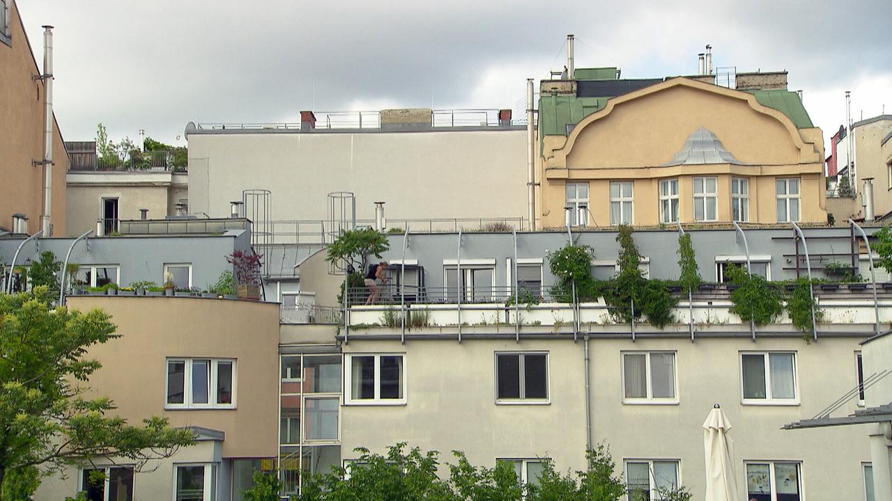 Altbauwohnungen und Mansardenwohnungen in Wien, Dächer, begrünte Balkone