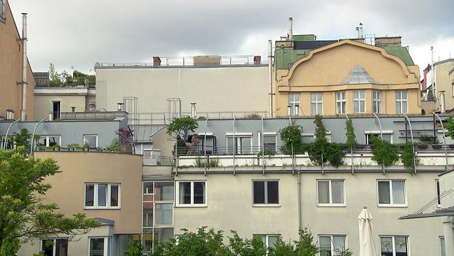Altbauwohnungen und Mansardenwohnungen in Wien, Dächer, begrünte Balkone