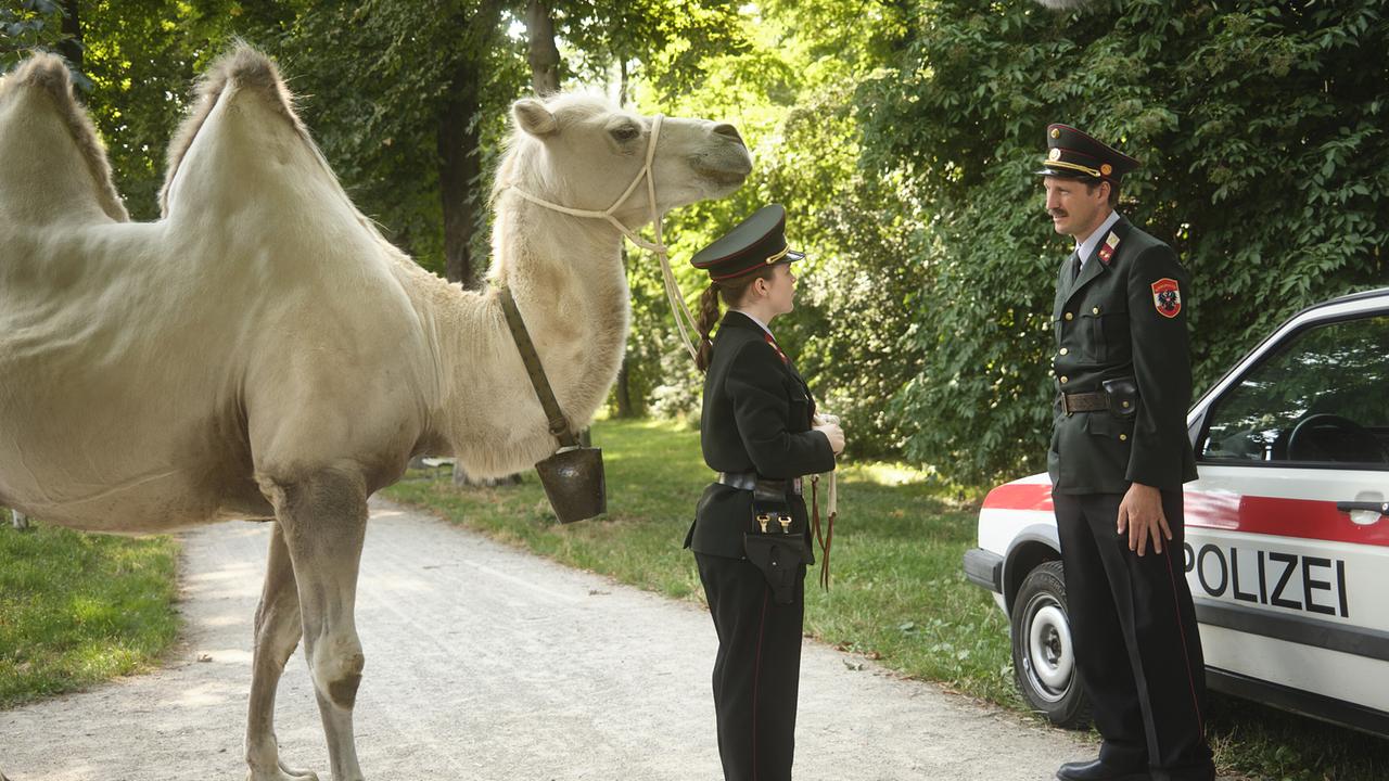 Gerti in Polizeiuniform mit einem Kamel an der Leine steht in den 80ern auf einem Weg im Grünen vor einem Polizeiauto, und unterhält sich mit Kranzler.