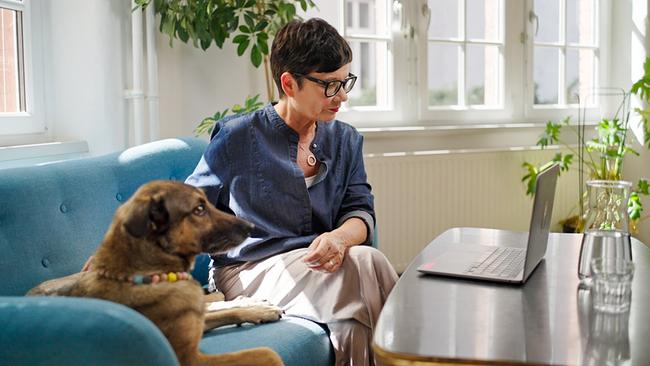 Ulla Kramar-Schmid mit Hündin Luna beim Video-Call mit einer Kartenlegerin für Hunde