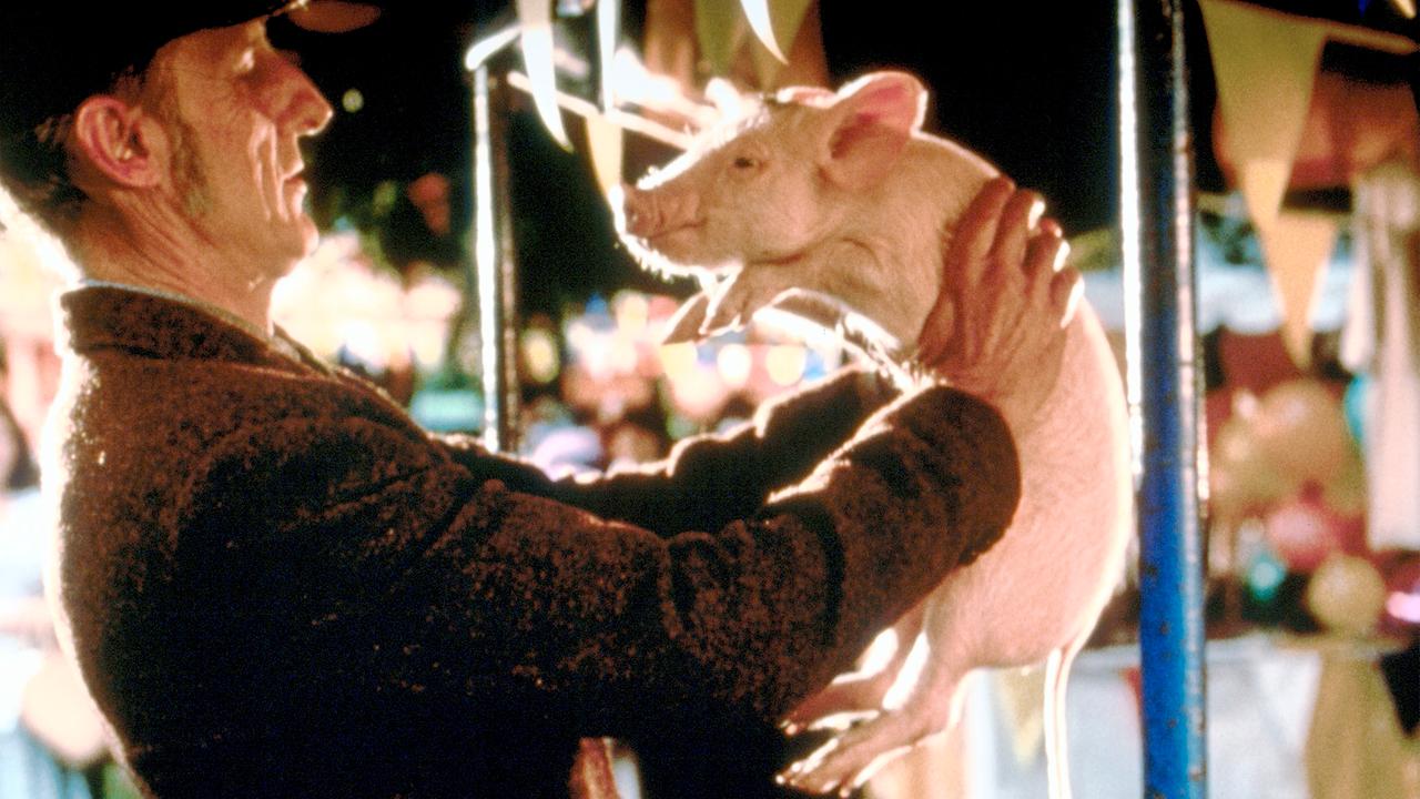 Im Bild: James Cromwell (Arthur Hoggett) mit Schweinchen Babe