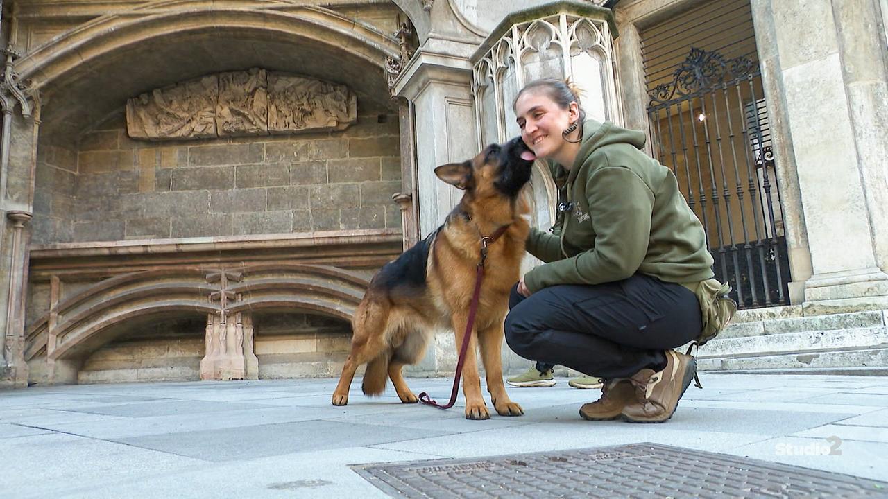Schäferhund Rex  berührt mit der Schnauze das Gesicht einer knienden Hundetrainerin Farina Klause vor einem historischen Gebäude.