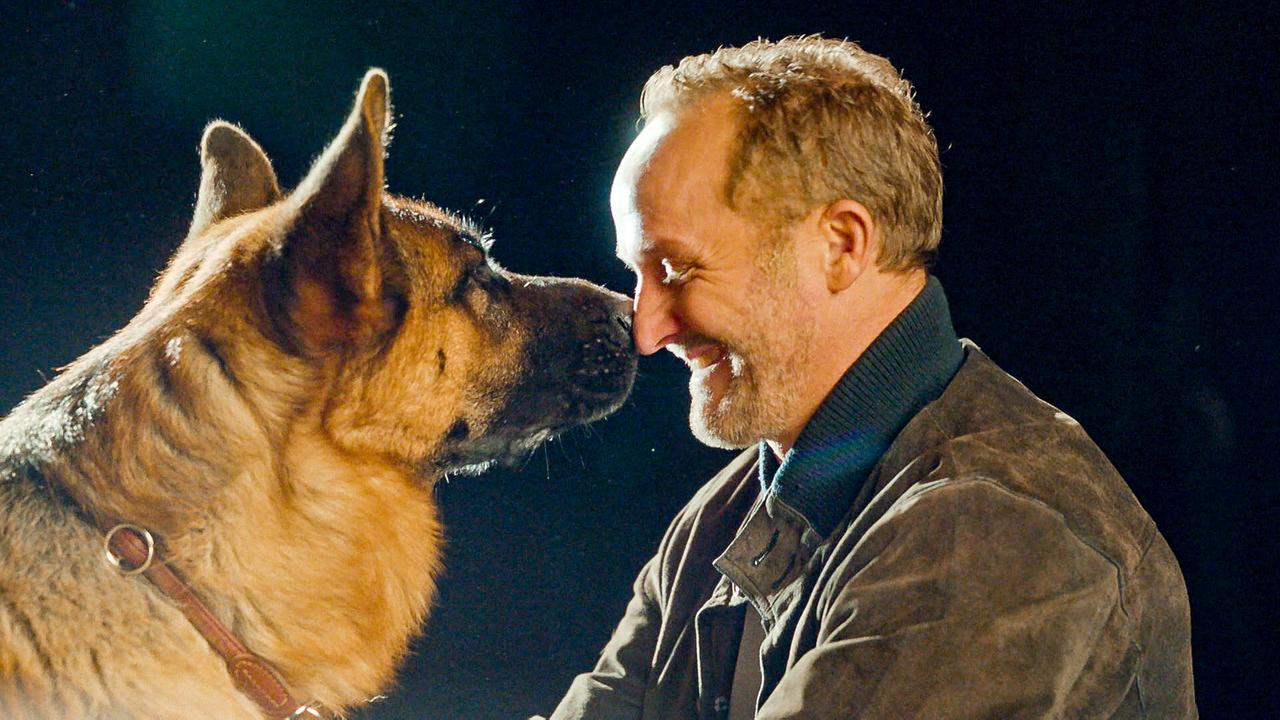 Rex berührt mit seiner Schnauze die Nase von Maximilian Brückner. Beide sind seitlich beleuchtet.