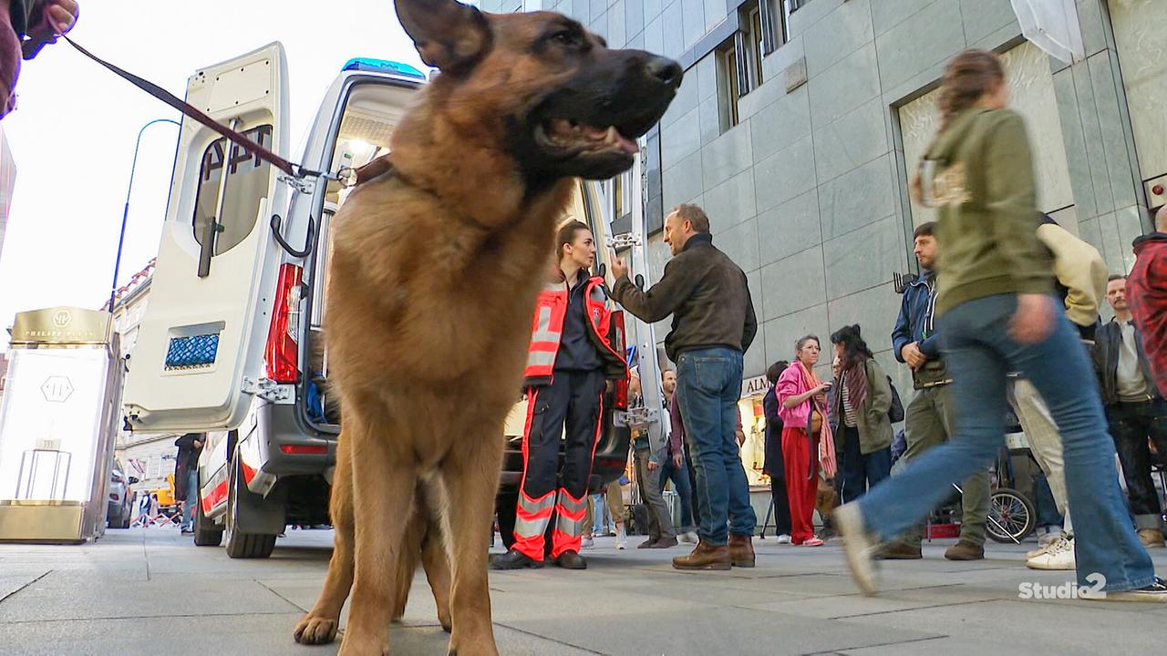 Schäferhund Rex steht angeleint im Vordergrund, während im Hintergrund Einsatzkräfte und Passanten auf einem Platz zu sehen sind.