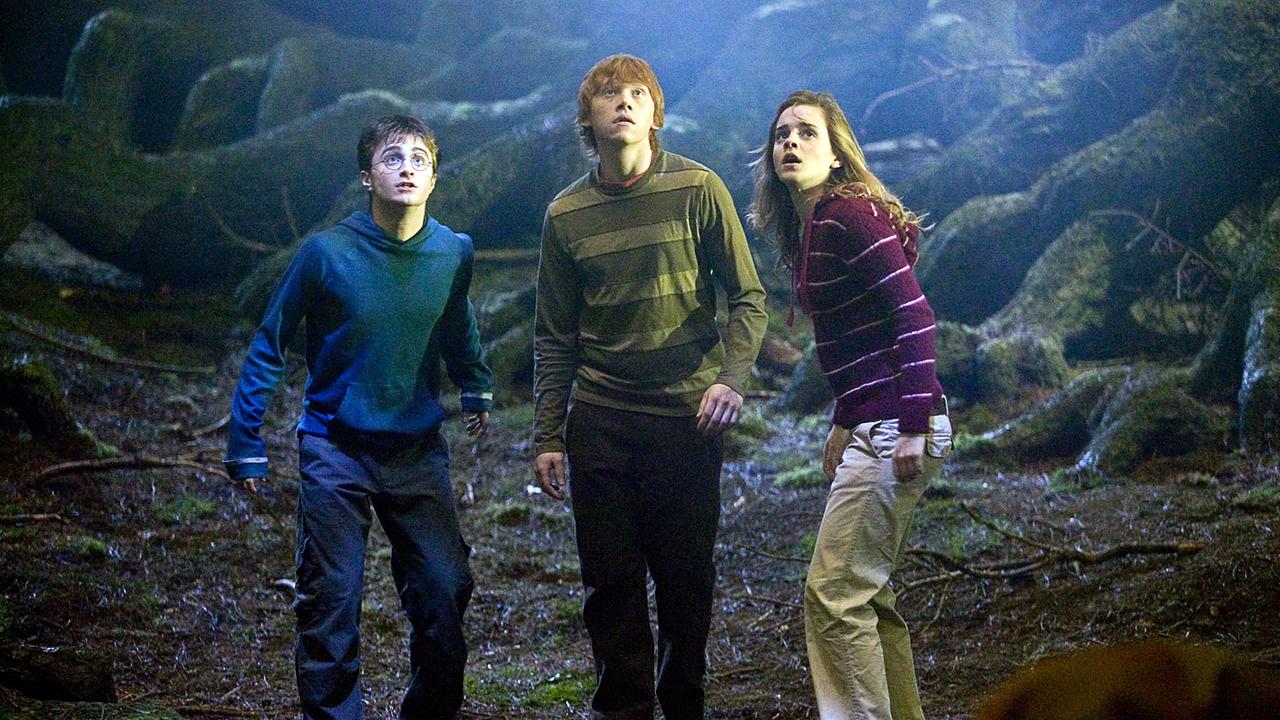 Harry Potter, Ron Weasley und Hermine Granger stehen in einer Höhle, alle drei schauen staunend nach oben
