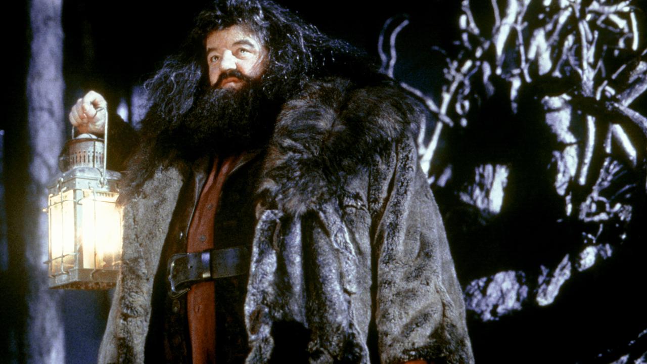 Rubeus Hagrid (Robbie Coltrane) ist der Wildhüter von Hogwarts. Der Halbriese hat Harry in sein Herz geschlossen und wirft in Howarts ein Auge auf ihn.