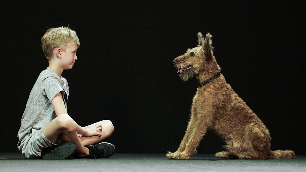 Hund und Mensch