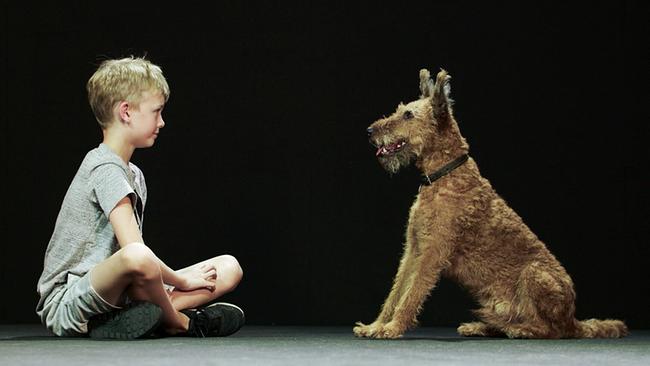 Hund und Mensch