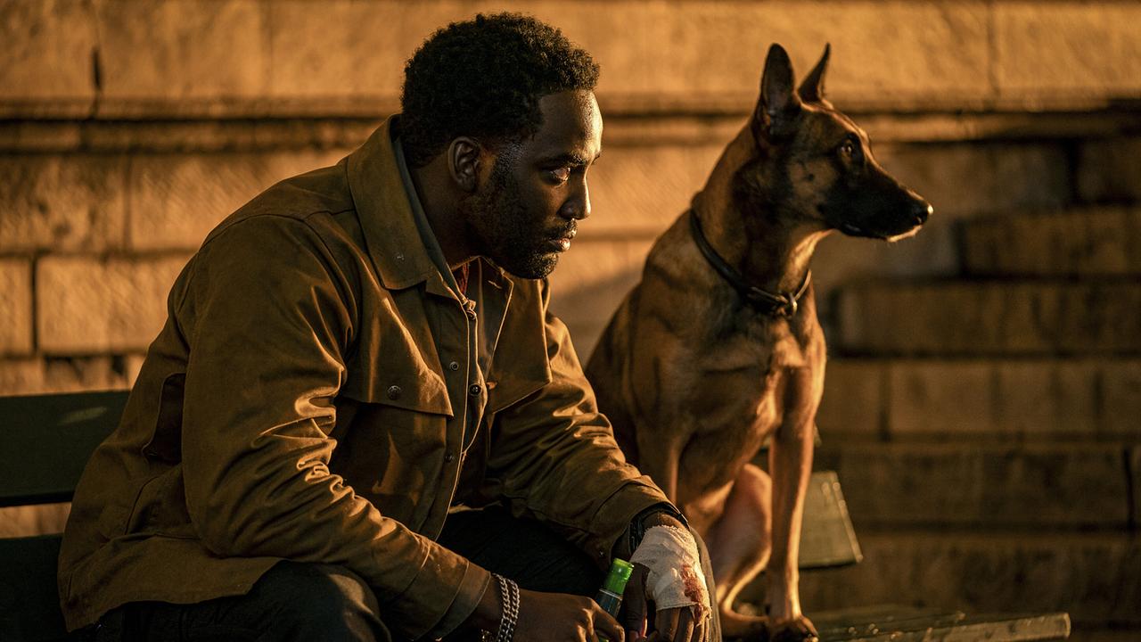 © ORF/Leonine Studios John Wick: Kapitel 4