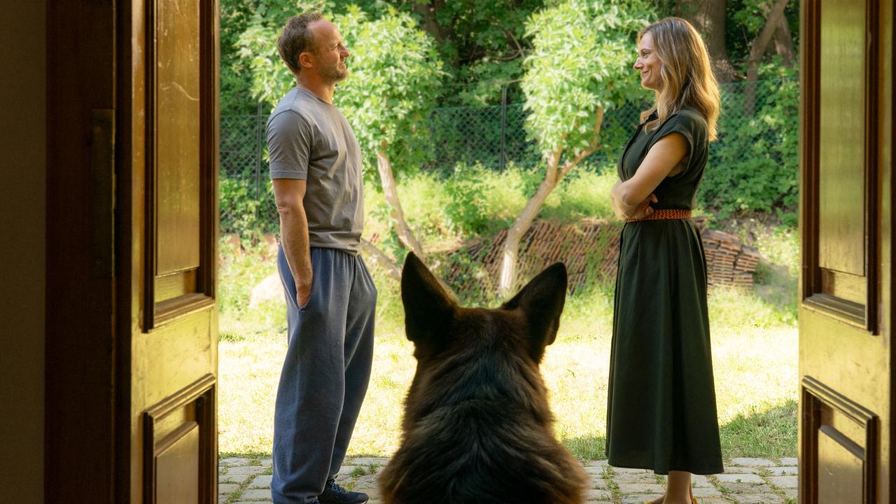 Ein Mann in blauer Jogging-Hose und grauem T-Shirt steht im sonnigen Garten einer Frau im grünen Kleid gegenüber, ein Schäferhund schaut dem Paar aus dem schattigen Haus zu 