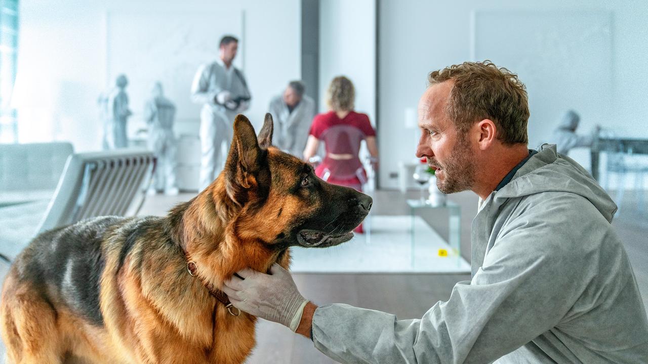 Chefinspektor Max Steiner in einem Schutzanzug der Spurensuche beugt sich zu Schäferhund Rex und schaut ihm in die Augen, im Hintergrund im weißen Appartment eine Frau in rotem Kleid sitzend, Personen in Schutzbekleidung sichern die Spuren am Tatort