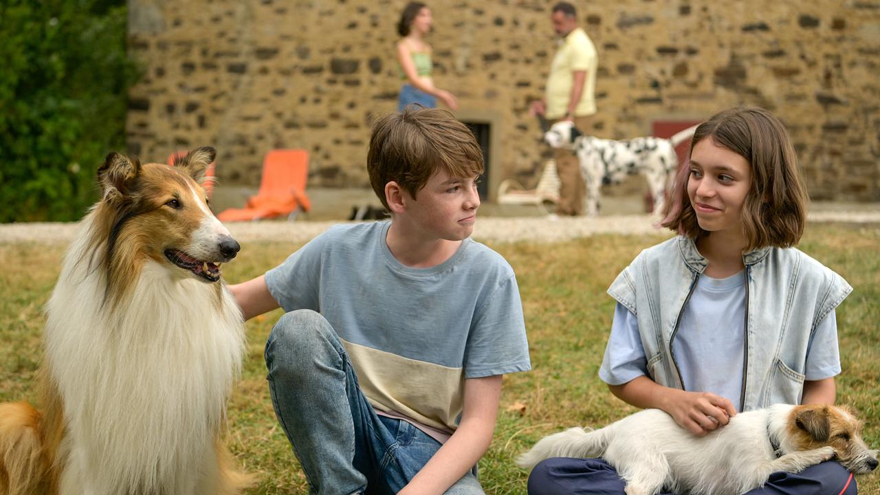 Flo sitzt mit seiner Collie-Hündin Lassie im Gras und unterhält sich mit Kleo, die ihr kleines Hündchen im Schoß hält; kennen