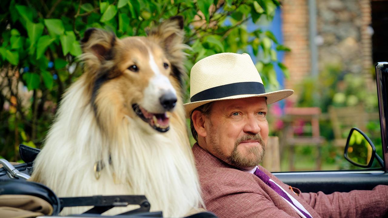 Justus von Dohnányi als Gerhardt mit Strohhut am Steuer eines offenen Oldtimers, Collie-Hündin Lassie sitzt auf der Rückbank