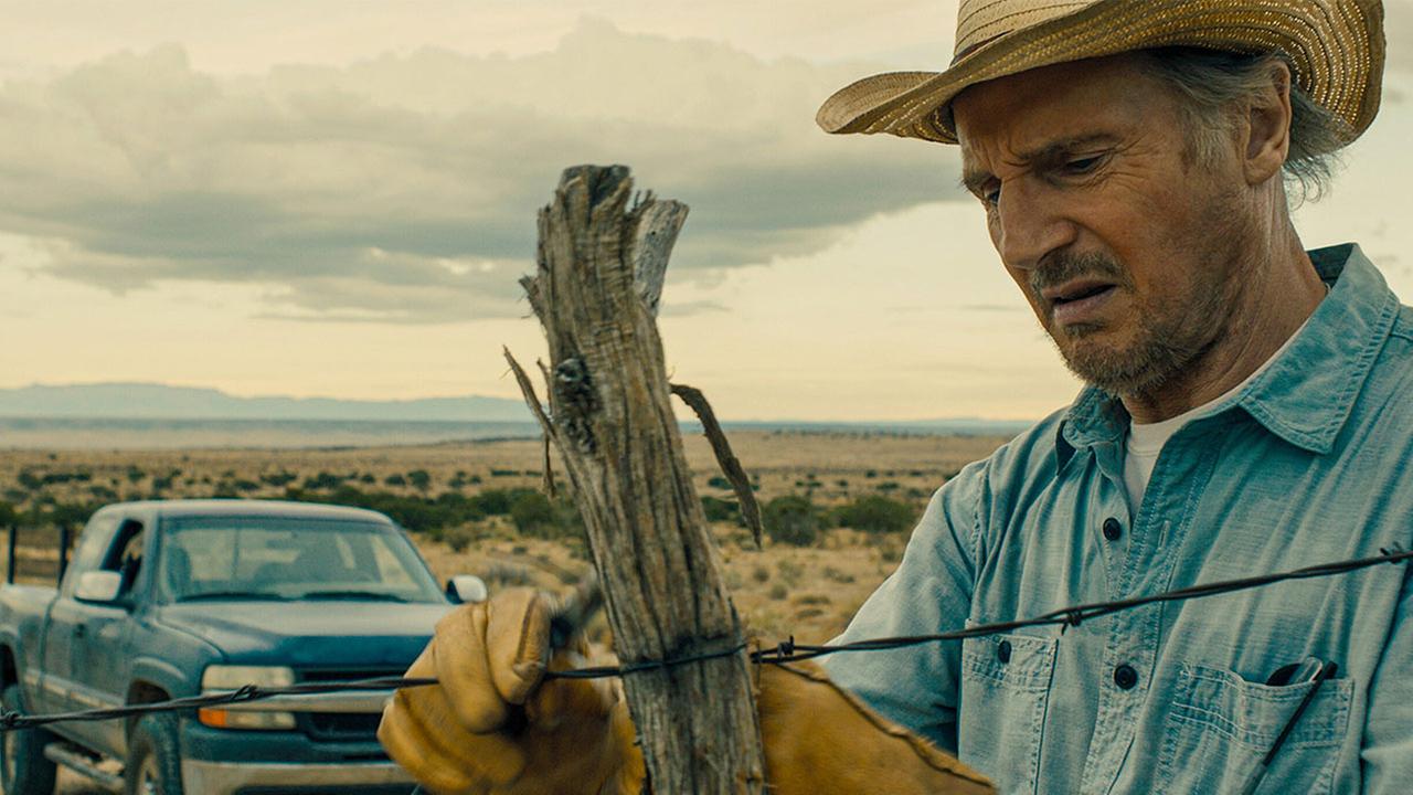 © ORF/Leonine/Courtesy of Briarcliff/Open Road Liam Neeson (Jim Hanson)