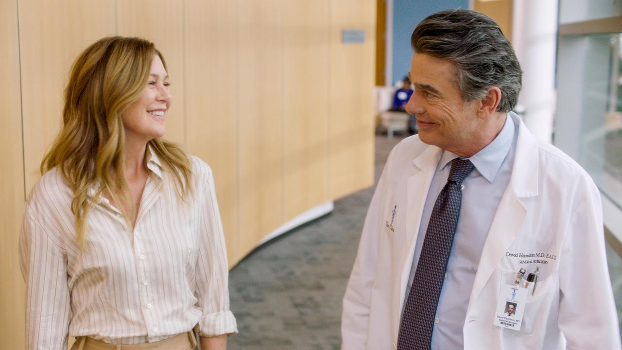 Ellen Pompeo (Dr. Meredith Grey), Peter Gallagher (Dr. David Hamilton)
