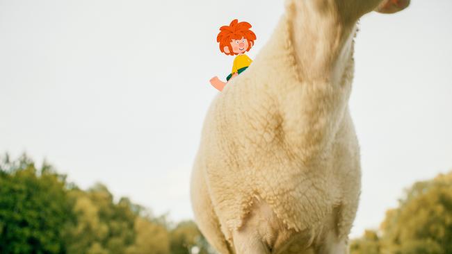 © ORF/Beta Film/NEUESUPER GmbH/RTL Pumuckl sitzt auf dem Rücken eines Schafes und genießt die Aussicht.