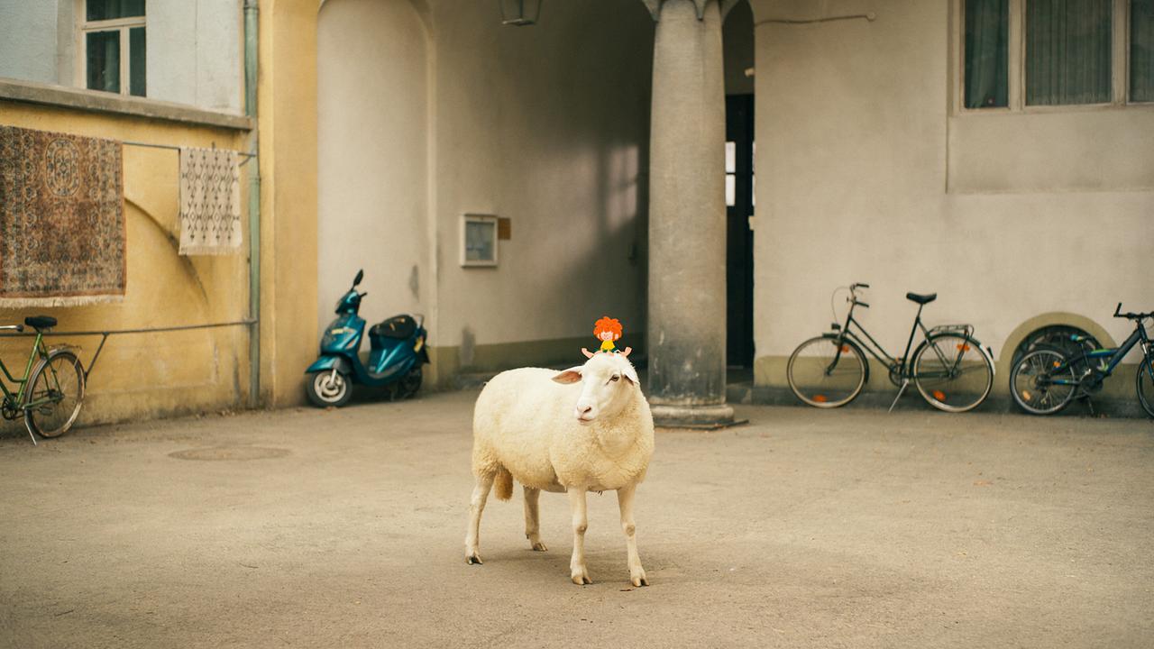 Pumuckl und das Schaf stehen im Hof vor der Tischlerwerkstatt.
