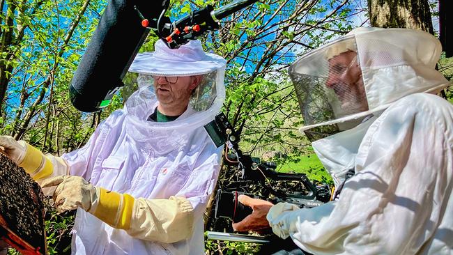 Neuer Job - Neues Leben: Imker und Bauer Darek Radziwon gemeinsam mit Kameramann bei Dreharbeiten in Mörtschach, Kärnten