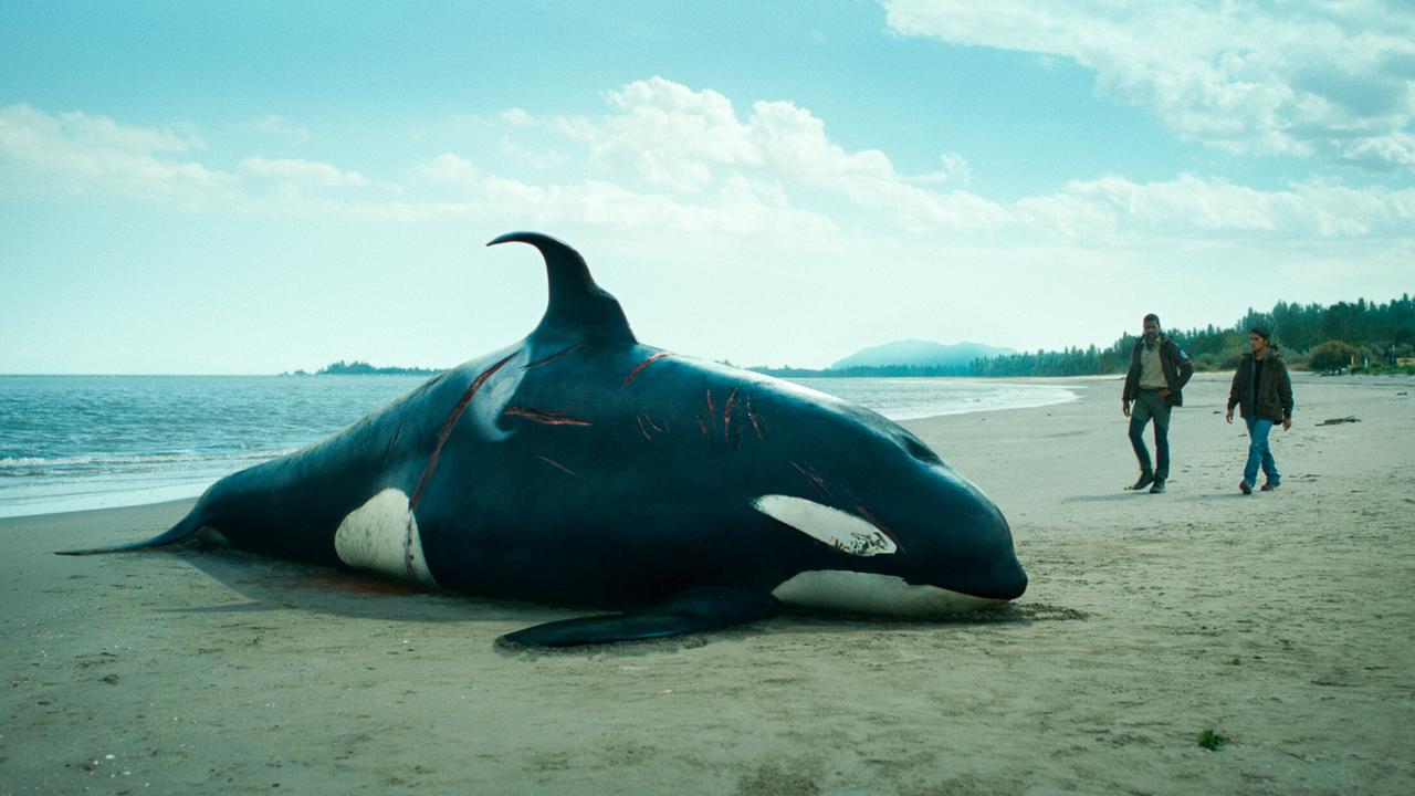 "Der Schwarm - Folge 1": In Vancouver liegt ein toter Orca am Strand. Wahlforscher Leon Anawak (Joshua Odjick, r.) und O'Bannon (Dutch Johnson, l.) sind auf dem Weg zum ihm.