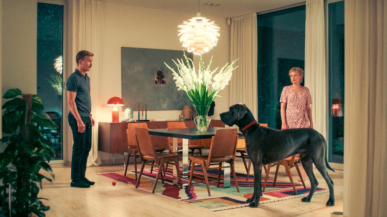 Matthias und seine Freundin Sophia haben jetzt einen Hund und stehen sich im Wohnzimmer gegenüber, während ihr großer Hund zwischen ihnen steht.