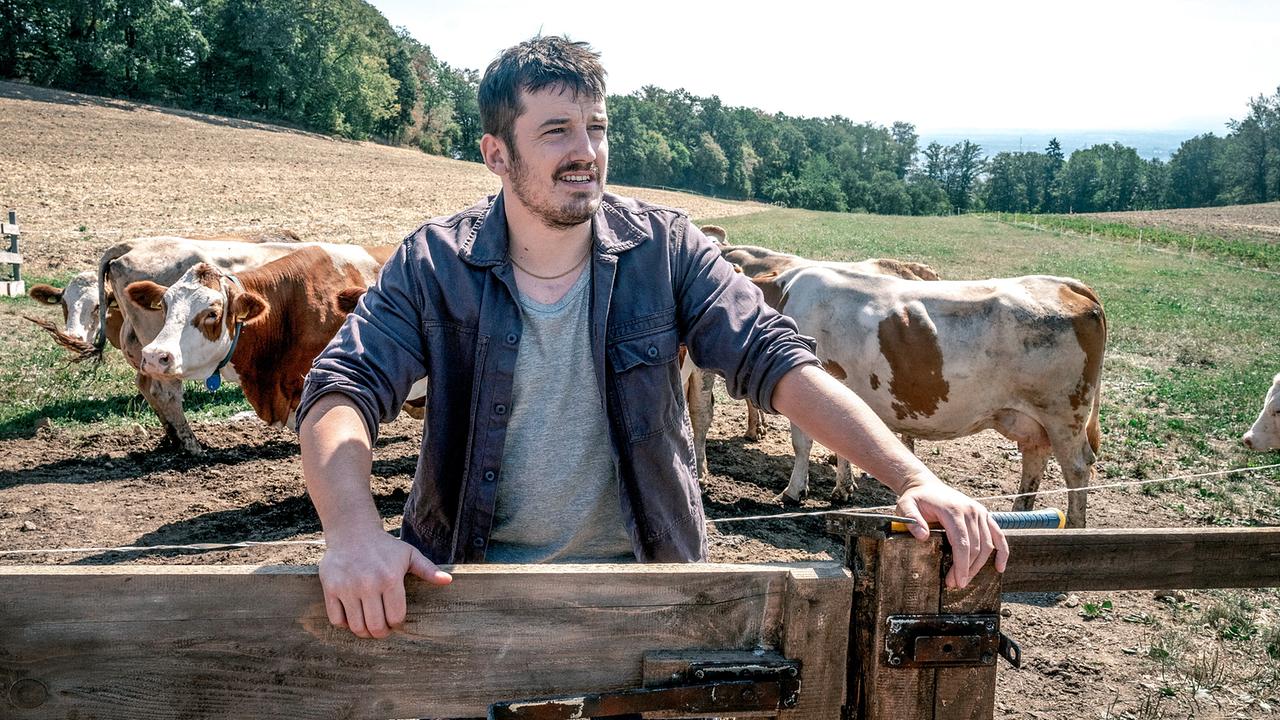 Felix Kreutzer steht am Zaun einer Weide mit Kühen im Hintergrund.