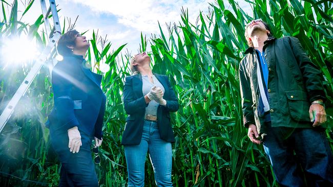 Joe Haizinger, Biggi Obergschwendter und Dr. Richie Vitek stehen in einem Maisfeld und blicken nach oben zum Himmel.