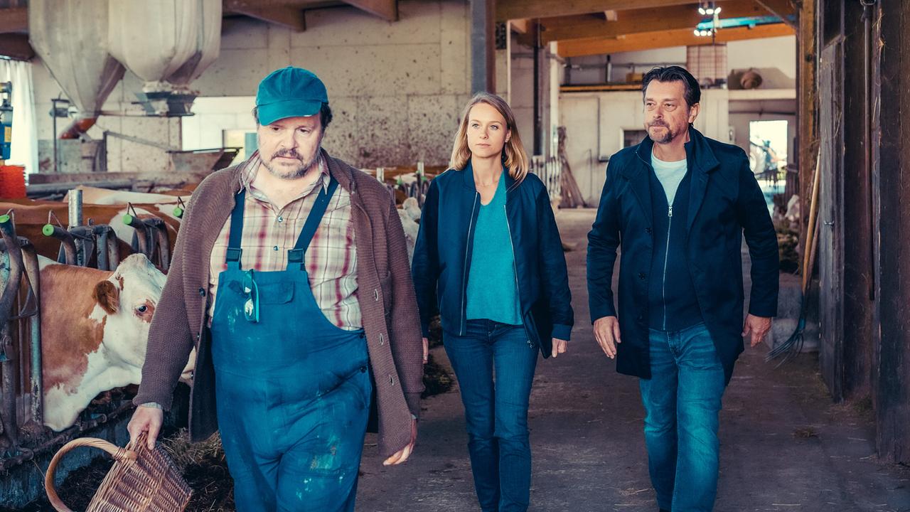Anni Sulmtaler und Sascha Bergmann gehen hinter Karl Höfler durch einen Stall, in dem Kühe in ihren Boxen stehen.