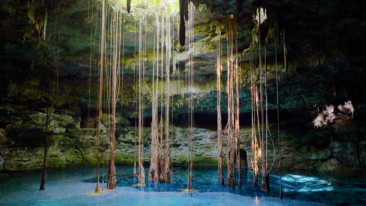 © ORF/Universal/NBC/BBC Studios Eine der Eingänge in das unterirdische Höhlensystem der Halbinsel Yucatan