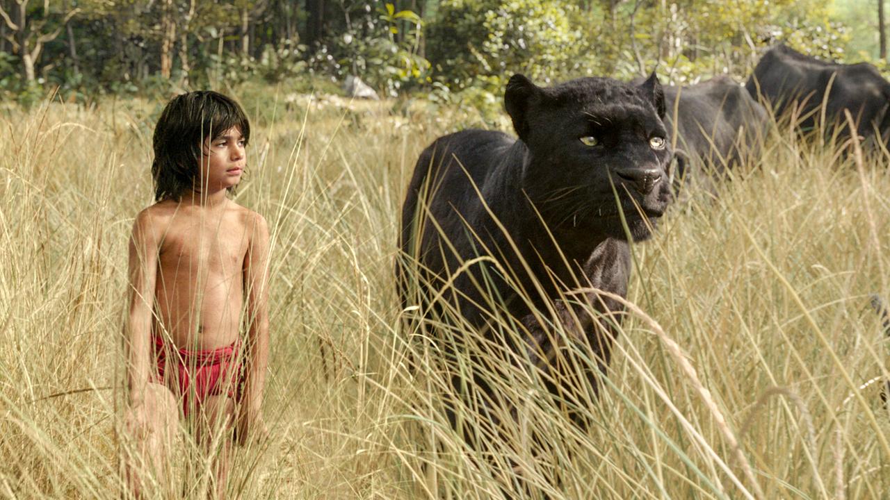 The Jungle Book