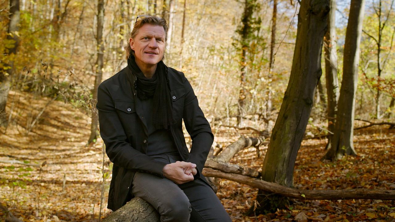Gery Seidl sitzt auf einem umgestürzten Baumstamm in einem herbstlichen Wald.