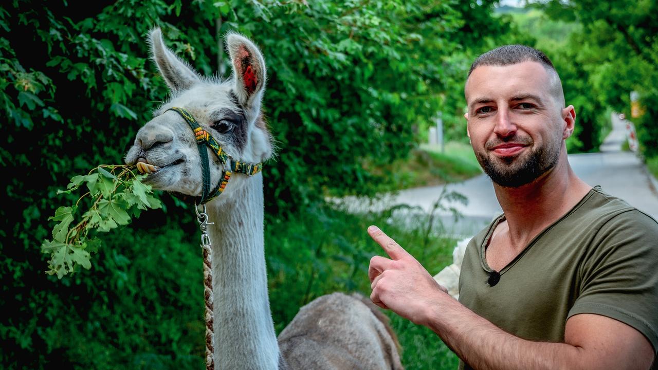 "Willst Du mit mir gehen?": Kandidat Omar mit Lama auf der Suche nach der großen Liebe