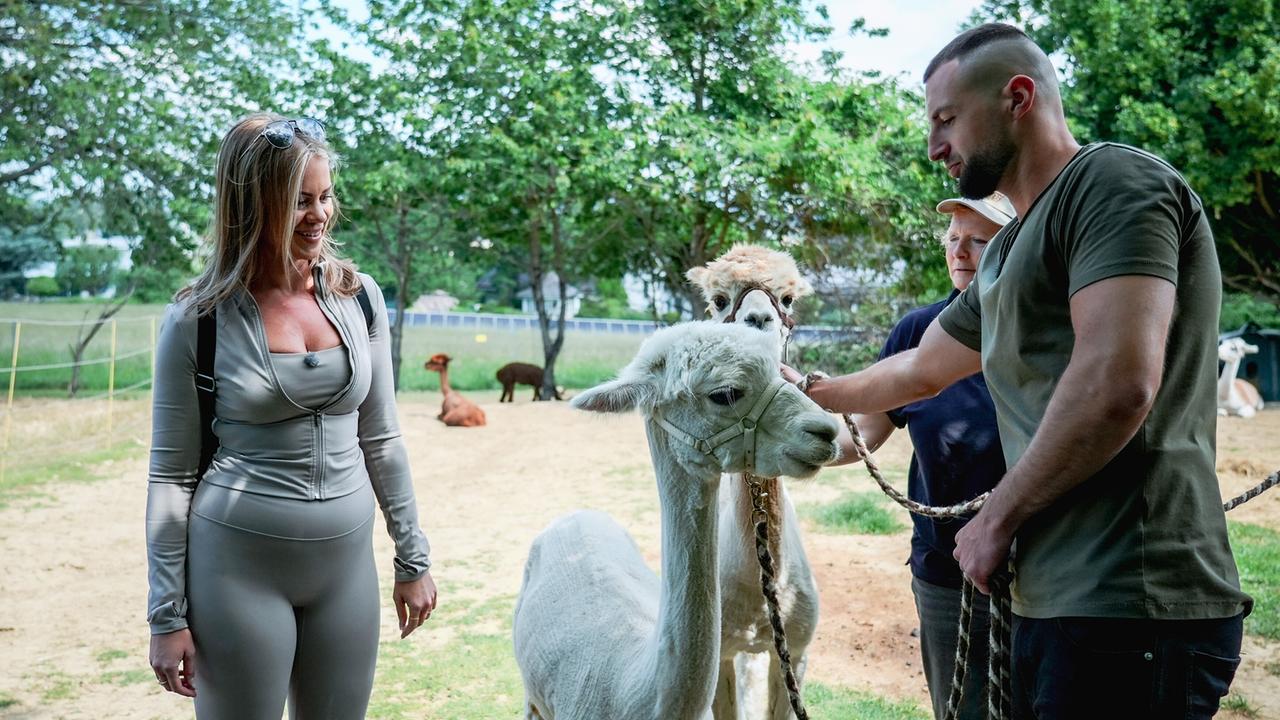 "Willst Du mit mir gehen?": Single Marlies und Kandidat Omar mit Alpaka Gandalf auf der Alpaka-und Lama-Farm.
