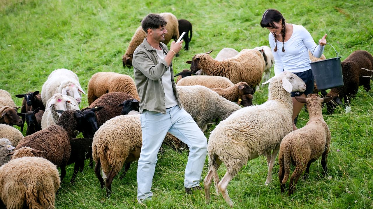 © ORF/TVfriends Single Diego und Kandidatin Susanna auf einer Weide umringt von Schafen