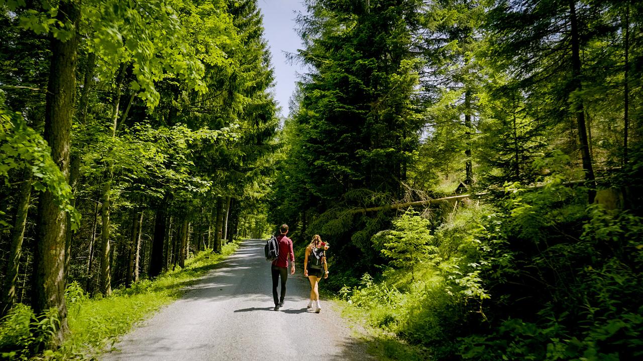  Kandidat Richard und Single Sophie spazieren bei Sonnenschein auf einem Waldweg.